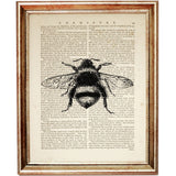 Set of 4 Black & White Bees Dictionary Art Prints, Timeless Buzz Decor