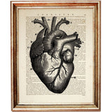 Set of 4 Anatomical Dictionary Art Prints, Enigmatic Anatomy Poster
