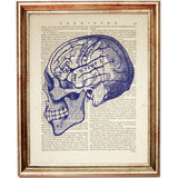 Set of 4 Cobalt Blue Anatomy Dictionary Art Prints, Anatomical Decor