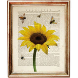 Set of 6 Botanical Dictionary Art Prints, Botanical Chronicles Decor