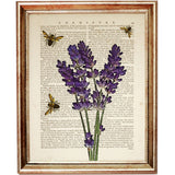 Botanical Flower Wall Art Set, Dictionary Prints with Gerbera, Lavender and Bees - Home Decor