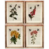 Set of 4 Prints, Flowers with Bees Dictionary Art Print, Floral Artwork