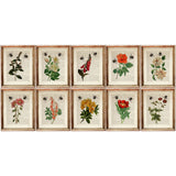 Botanical Dictionary Art Prints Set of 10 - Floral & Bee Wall Decor Posters - Wild Floral Artwork