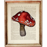 Set of 6 Mushroom Dictionary Art Prints, Fungi Fanatics Kitchen Wall Decor