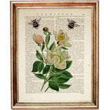 Botanical Dictionary Art Prints Set of 10 - Floral & Bee Wall Decor Posters - Wild Floral Artwork