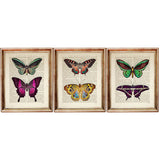 Set of 3 Butterfly Dictionary Art Prints - Wall Decor