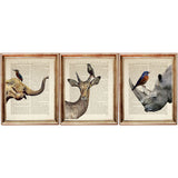 Safari Nursery Wall Art Set, Elephant, Bird, Antelope, Rhinoceros, Dictionary Art Prints