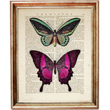 Set of 8 Colorful Butterflies Dictionary Art Prints, Nature Wall Decor
