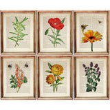 Set of 6 Flower Dictionary Art Prints, Floral Symphony Poster
