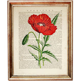 Set of 6 Flower Dictionary Art Prints, Floral Symphony Poster