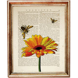 Set of 6 Flower Dictionary Art Prints, Floral Symphony Poster