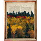 Set of 4 Dictionary Art Prints, Enchanting Forest Wall Decor