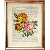 Marigold Pink Rose Botanical Wall Art Print, Floral Decor Poster