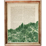 Set of 4 Forest Dictionary Art Prints, Enchanted Wilderness Poster