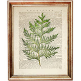 Botanical Green Leaf Eucalyptus Dictionary Art Prints, Greenery Wall Art Set