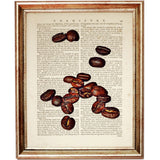 Set of 3 Dictionary Art Prints: Coffee Lover's Gift - Coffee Plant & Beans Artwork