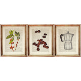 Set of 3 Dictionary Art Prints: Coffee Lover's Gift - Coffee Plant & Beans Artwork