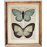 Set of 4 Butterflies & Dragonflies Dictionary Art Prints, Wings Decor