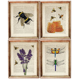 Set of 4 Botanical & Bee Dictionary Art Prints, Botanical Buzz Artwork