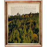 Set of 4 Dictionary Art Prints, Enchanting Forest Whispers Wall Decor