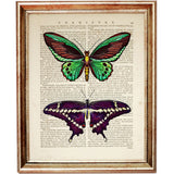 Set of 4 Butterflies & Dragonflies Dictionary Art Prints, Wings Decor