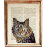 Maine Coon Cat Dictionary Art Prints - Set of 3 Nursery Wall Decor 8x10