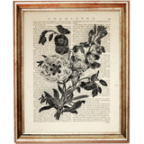 Set of 4 Black & White Botanical Dictionary Art Prints, Botanicals Art