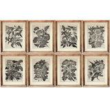 Set of 8 Flower Dictionary Art Prints, Monochromatic Blooms Poster
