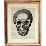 Set of 4 Anatomical Dictionary Art Prints for Medical Professionals