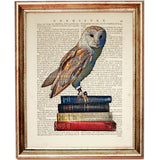 Set of 3 Funny Animal Dictionary Art Prints: Wolf, Fox, Owl Wall Decor