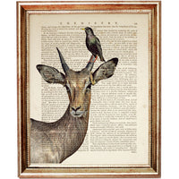 Antelope and Bird Friendship Portrait Poster