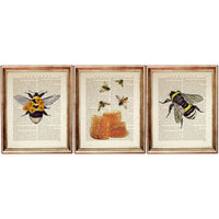 Bee and Honeycomb Set of 3 Poster