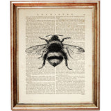 Ink Sketch Bee Wall Decor