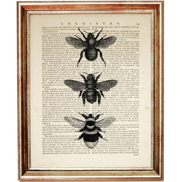 Black and White Vertical Print of Three Bees - Dictionary Art