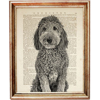 Goldendoodle Breed Dictionary Print