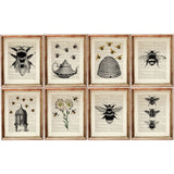 Black and White Bee Art Set of 8 Dictionary Prints