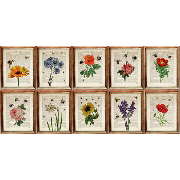 Botanical Prints Set of 10 - Botanical Wall Art Collection with Sunflower Print