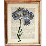 Blue Daisy Dictionary Art Print