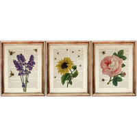 Set of 3 Flower and Bee Vintage Dictionary Print