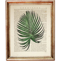 Leafy Botanical Illustration Print