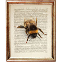 Bee Lover's Dictionary Decor