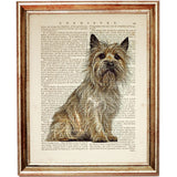 Cairn Terrier Pet Dictionary Print