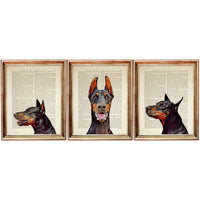 Set of 3 Doberman Dog Portrait Prints - Art Collection