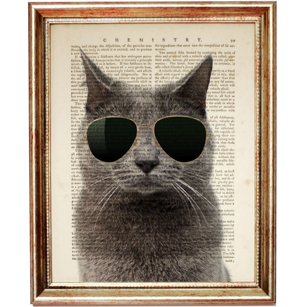 Cool Cat with Aviator Sunglasses Wall Decor