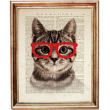 Cool Cat Wall Decor