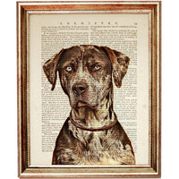 Catahoula Leopard Dog Portrait Dictionary Art Print