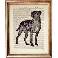 Cute Dog Dictionary Art Print - Catahoula Leopard Dog for Dog Lovers