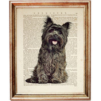 Cairn Terrier Canine Artwork