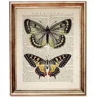 Twin Butterflies Dictionary Print - Antique Book Page Wall Art