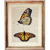 Elegant Butterfly Dictionary Prints